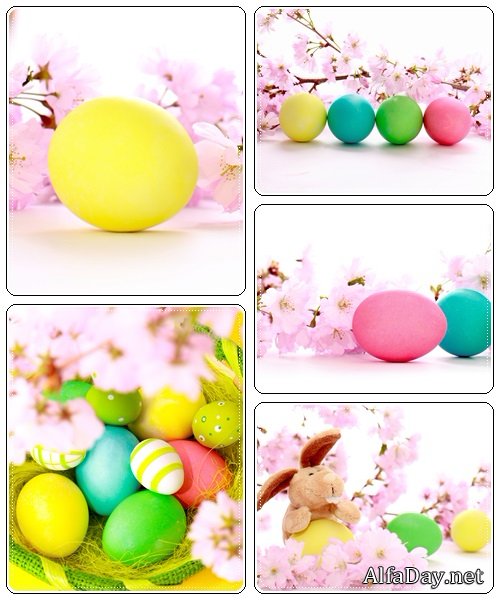 Spring flowers and easter eggs - Stock Photo