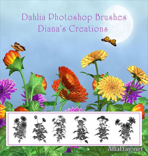 ����� ��� �������� ����� �����