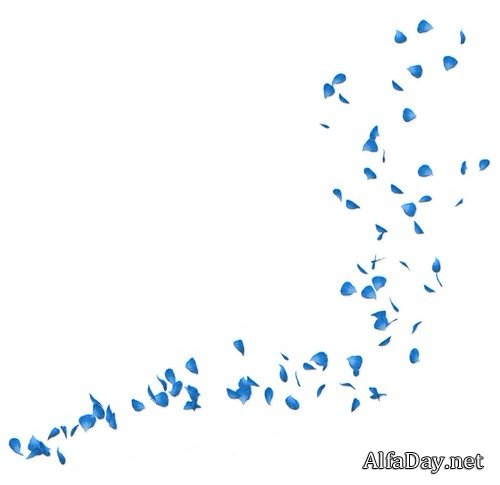 ��������� ��������, �������� ������ - ������� �� ���������� ����