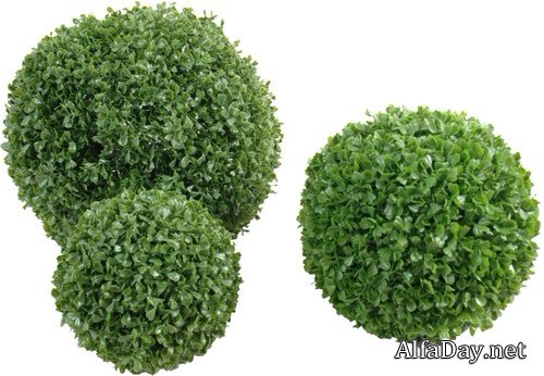 �������, �������� �����, ������� ���������� - ������� �� ���������� ����