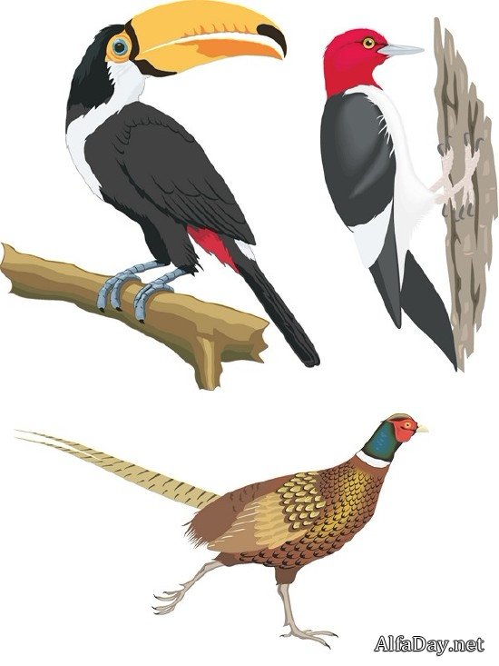 ��������� ������� - �����