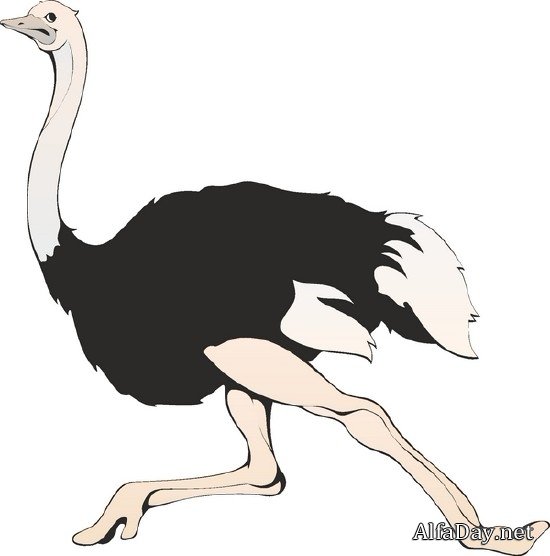 ��������� ������� - �����