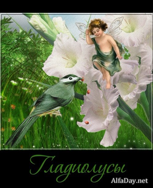 ��������� ������ - ��������� - ������� �� ���������� ����