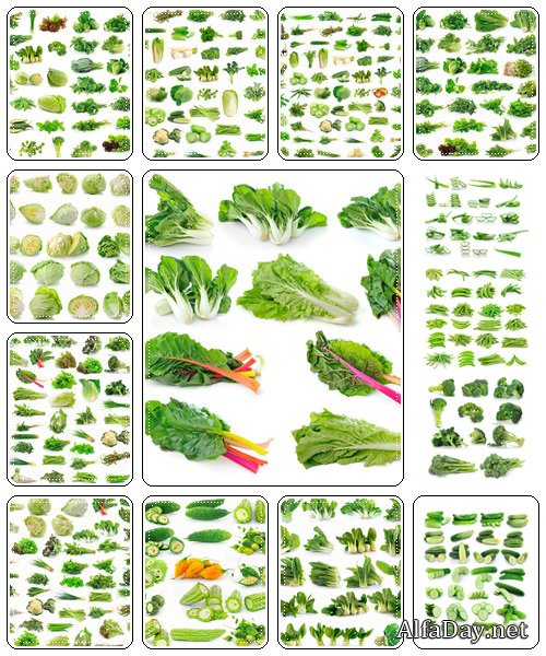 Vegetables collection isolated on white background - Stock Photo
