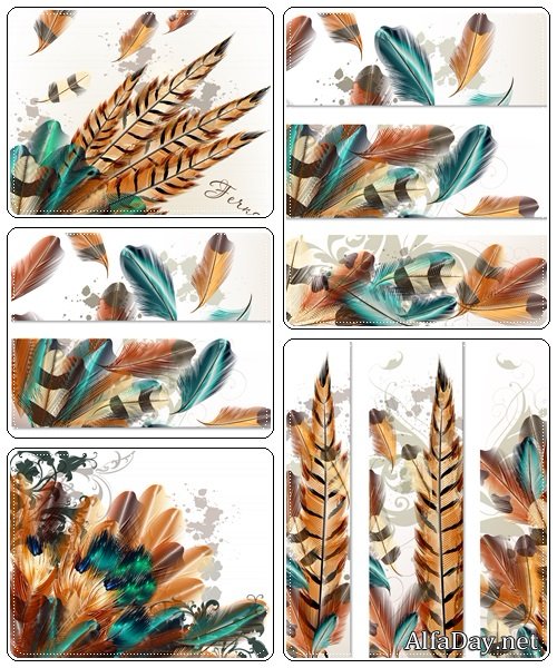 Backgrounds with colorful ferns  - vector stock