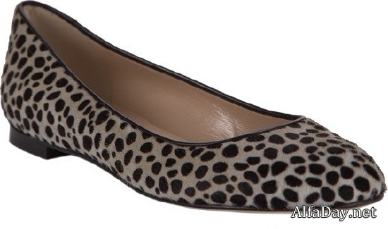 ������� �������, ����� ��� ������� - ���� ������� �� ����� � ���������� ����