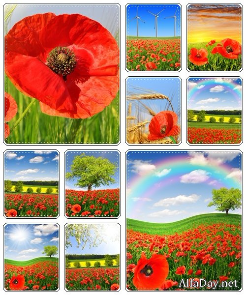 Spring landscape - Stock Photo