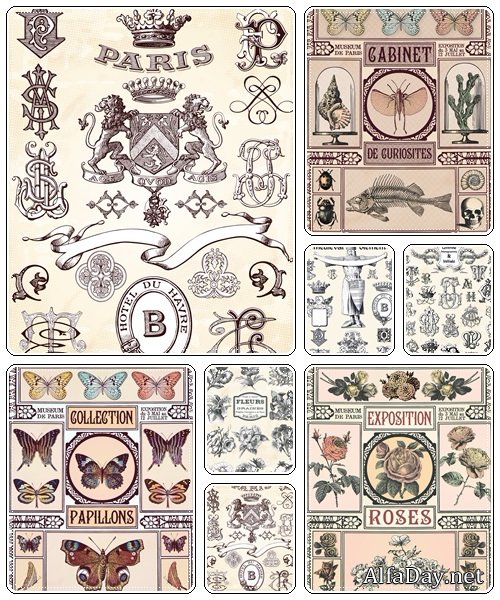 Vintage elements, part 57 - vector stock