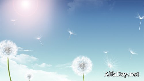 ����� �������� ��������� / Flying Lightly HD