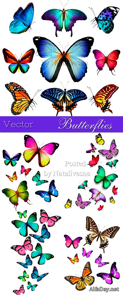 ��������  ������� �� ����� ����