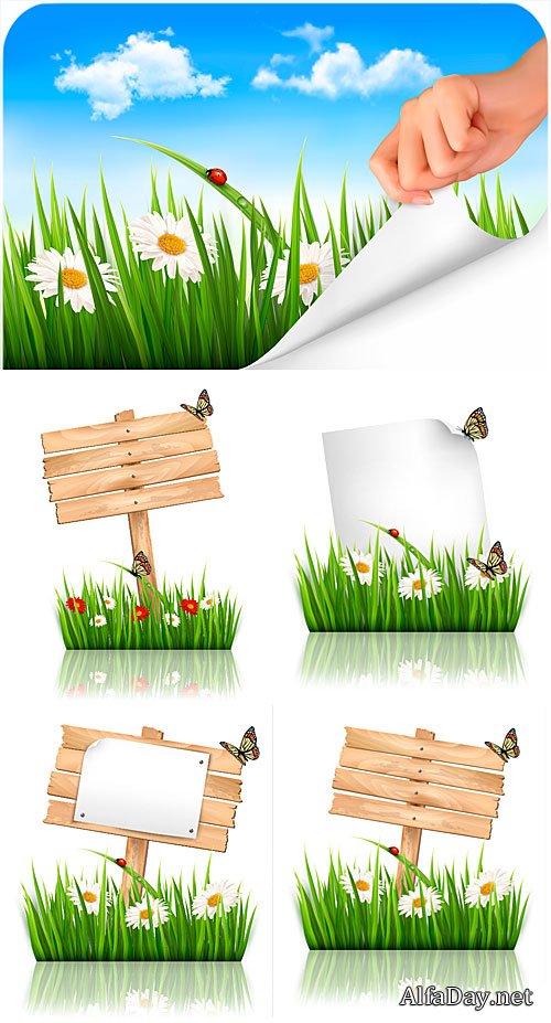 ���������� ��������, �������, ��������� ���� / Wooden plaques, chamomile, vector backgrounds
