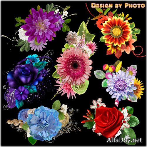 ��������� �������� �� ���������� ���� - ���������