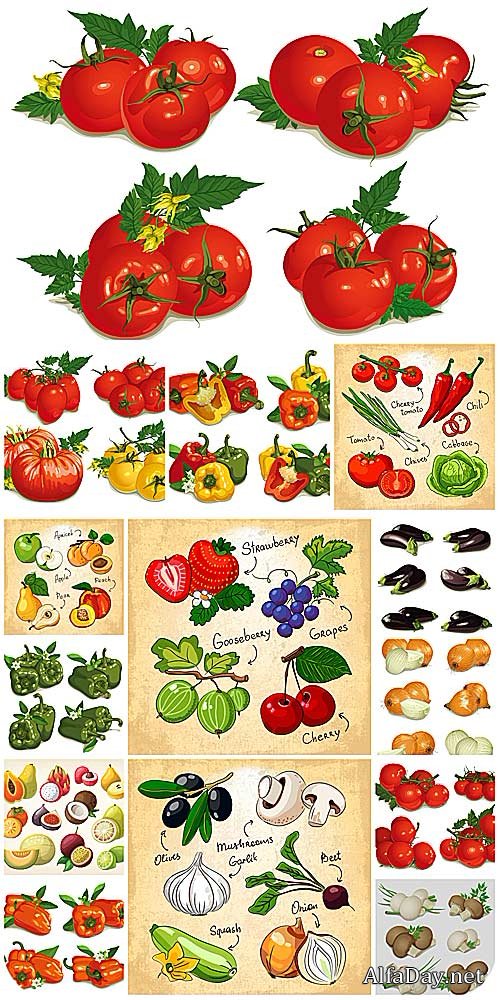 �����, ������ � ����� � ������� / Vegetables, fruits and berries vector