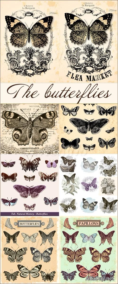 ������� � ��������� ����� � ���������, ��������� ������� / The butterflies, vintage collection, images stock vector