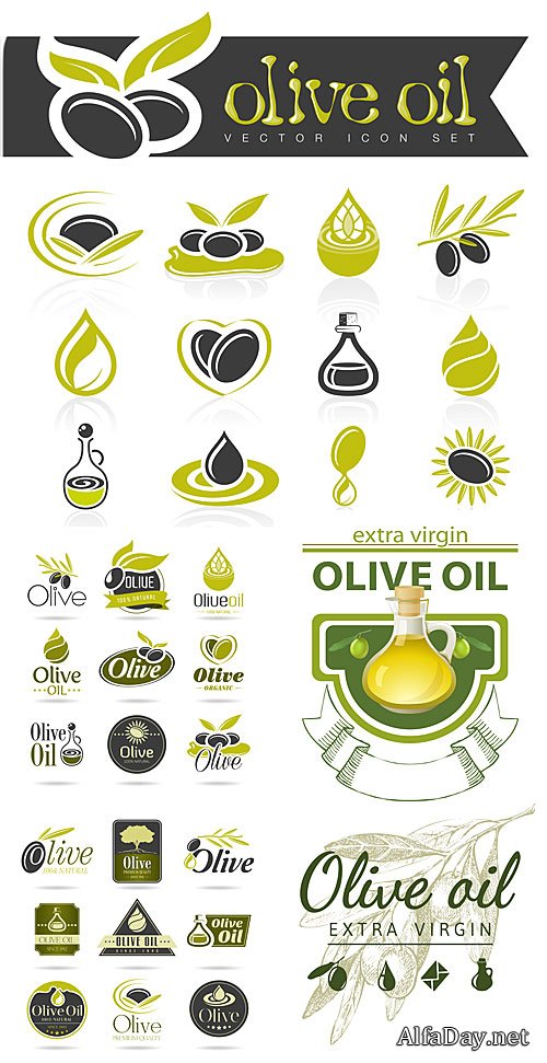������, �������� � ������� / Olives, food labels vector