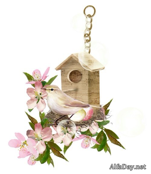 ������ ���  - ������, �����������, ������