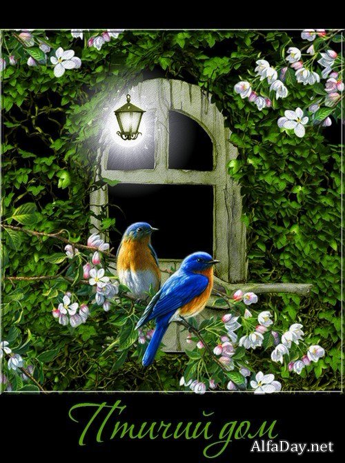 ������ ���  - ������, �����������, ������