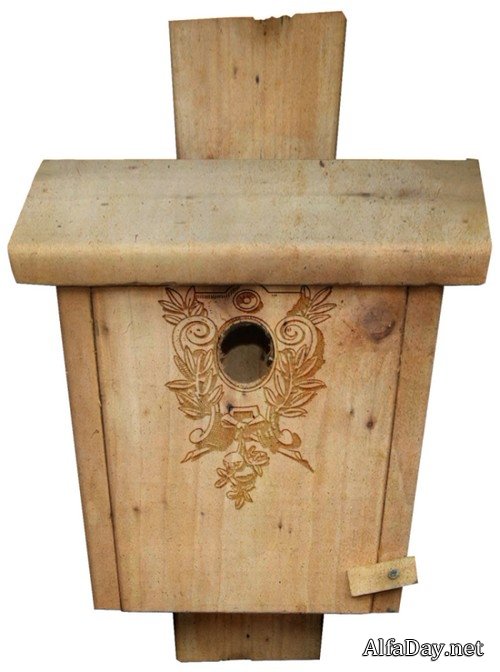 ������ ���  - ������, �����������, ������