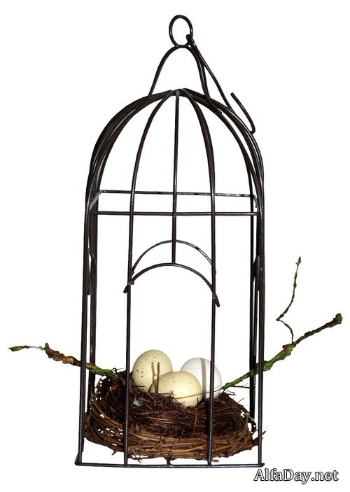 ������ ���  - ������, �����������, ������