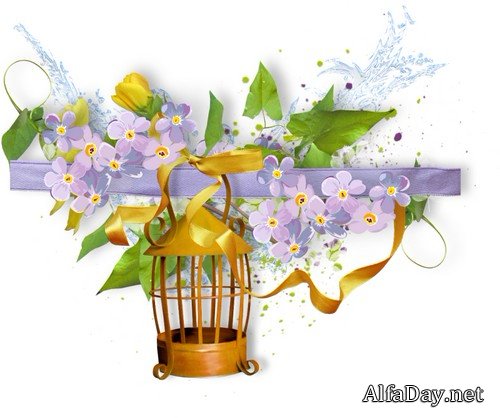 ������ ���  - ������, �����������, ������