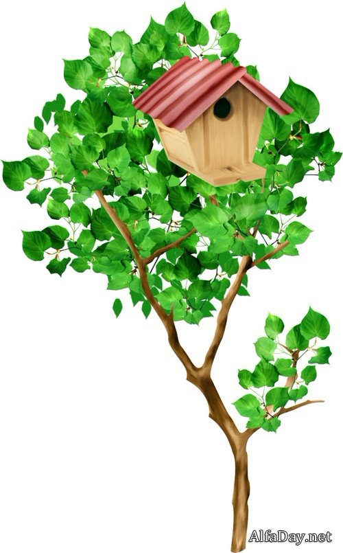 ������ ���  - ������, �����������, ������