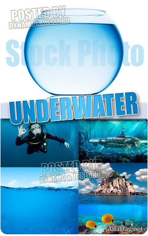 ��� ����� - ��������� �������