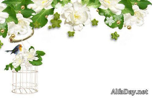 ��������� ���������� � ��������� ����� - ������� ��� ������������