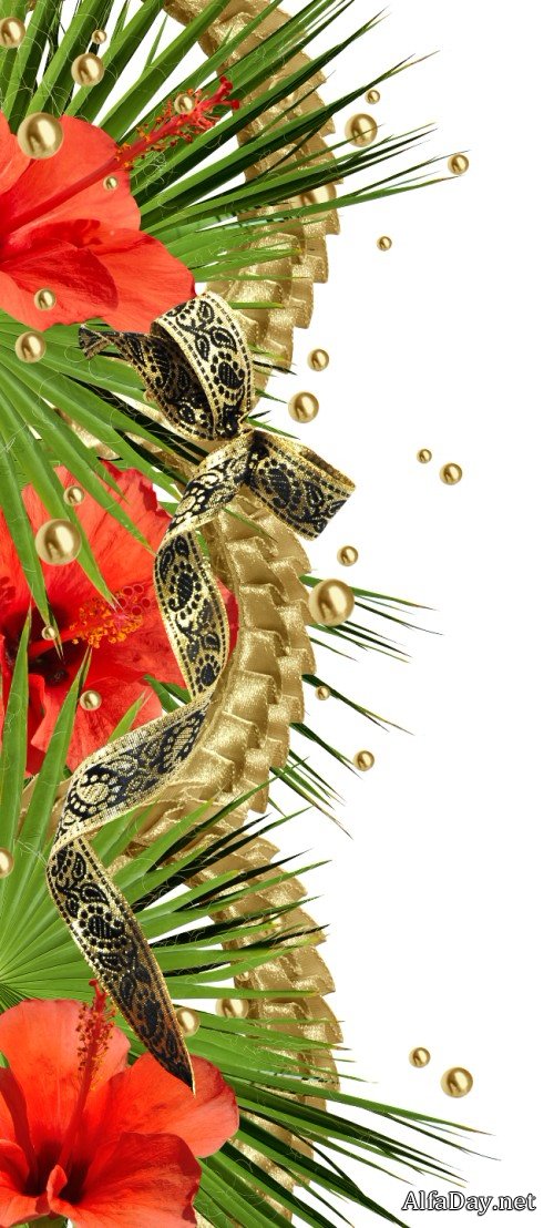 ��������� ���������� � ��������� ����� - ������� ��� ������������