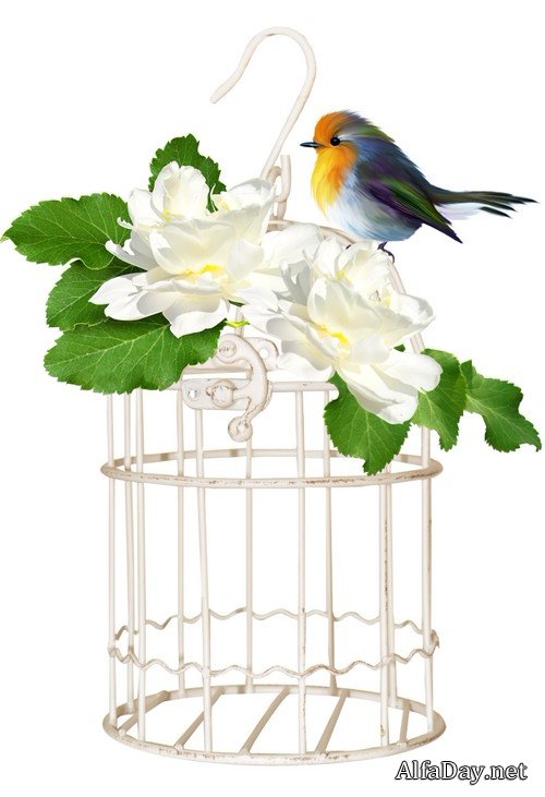 ��������� ���������� � ��������� ����� - ������� ��� ������������