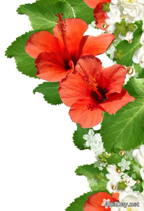 ��������� ���������� � ��������� ����� - ������� ��� ������������