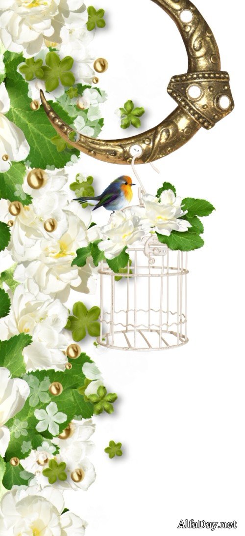 ��������� ���������� � ��������� ����� - ������� ��� ������������