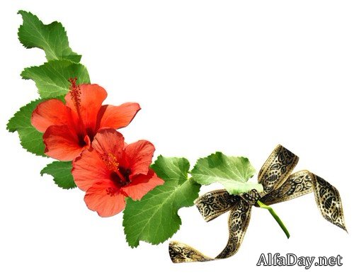 ��������� ���������� � ��������� ����� - ������� ��� ������������