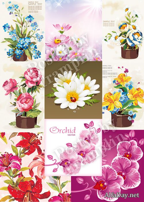����� � �������, �������, �����, ��������, �������, ��������� / Flowers vector