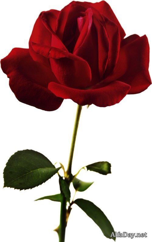 �����: ������� ���� - ������� �� ���������� ����