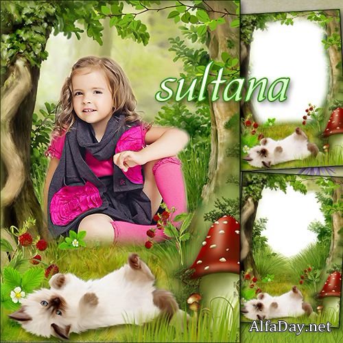 ������ ������� ����� ��� �������� - ��������� �������