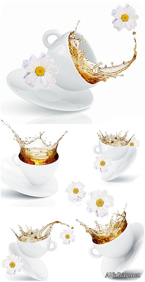 ����� � ���� � ����� ������� / Cup with tea and white daisies - Stock photo