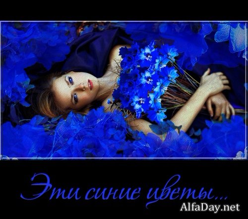 ����� �����, ����, ���������, ����, ����� - ������� �� ���������� ����