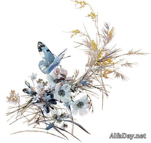 ������� � ����� - ������� �� ���������� ����