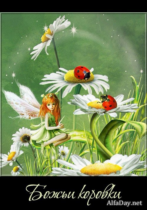 ����� ������� �� ������ - ������� PNG �� ���������� ����