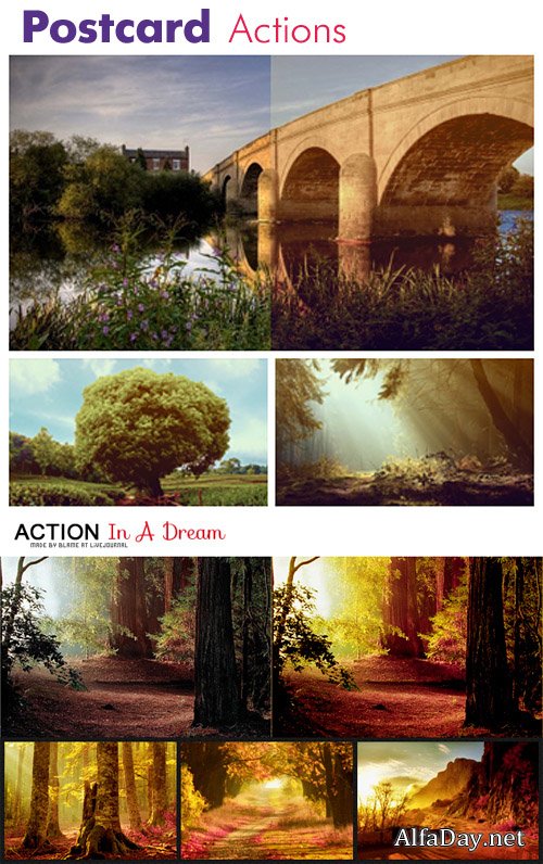 ������ ��� Photoshop - ������ �������� � ��������� �����