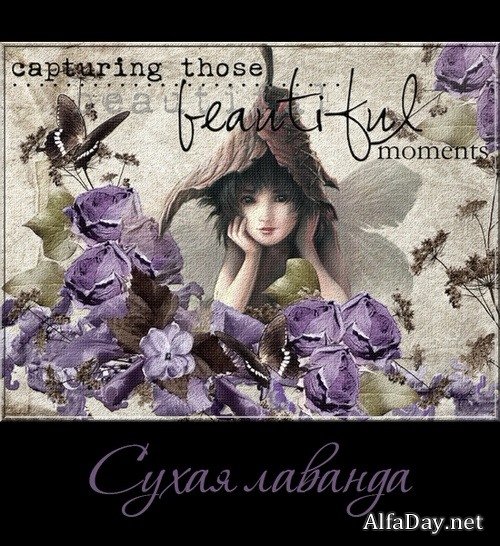 ����� ������� -  ��������� ���������� ��� ��������� ������������