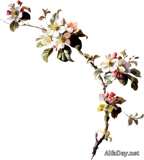 ��������� ����� �� ���������� ����