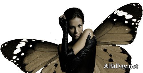 ��� - ������� PNG �� ���������� ����