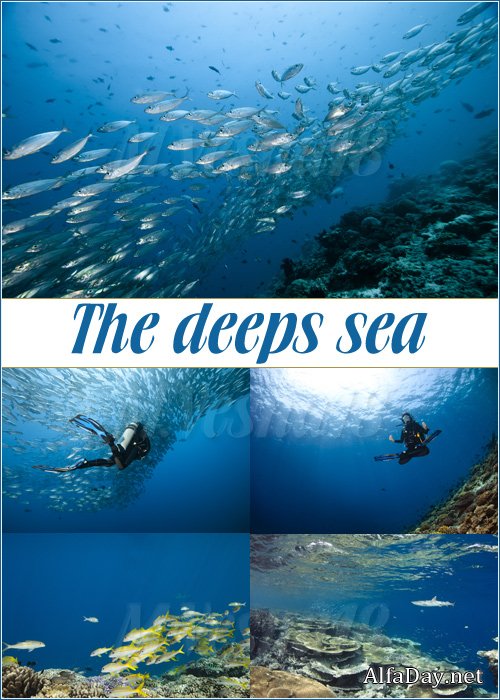 ������� �������, ��������� ������� /The deeps sea,  stock images
