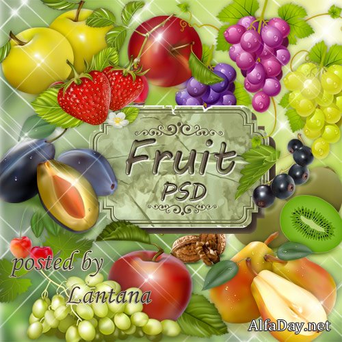 ������, �����, ������, ������, ��������, �����, �������, �������� - ������� �� ���������� ����