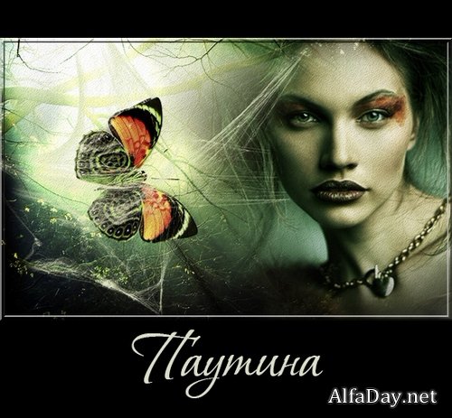 ������� �� ���������� ����