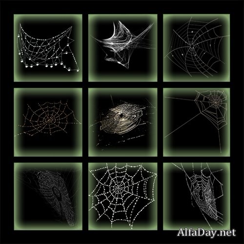 ������� �� ���������� ����