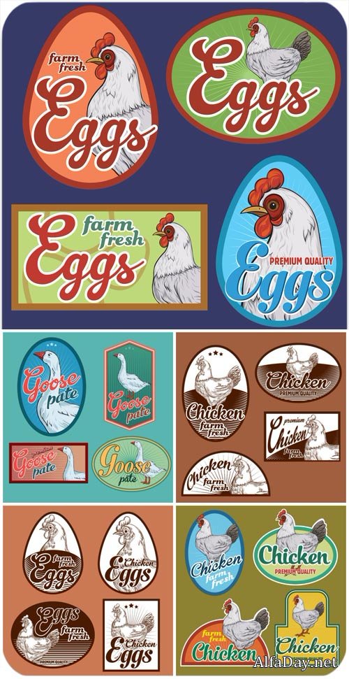 �������� � �������� ������, ������, ���� � ������� / Labels with poultry, chicken, goose vector