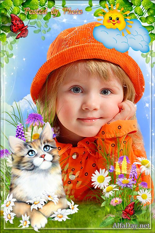 ������� ����� ��� ���� - �������� ������