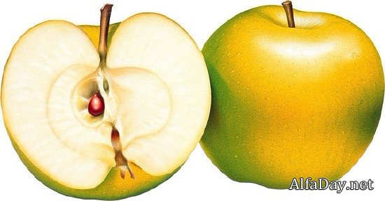 ������, ������ � ������� - ������� �� ���������� ����